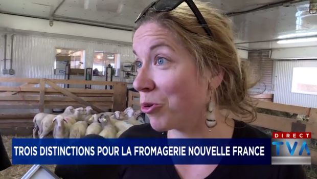 La fromagerie Nouvelle France remporte trois prix