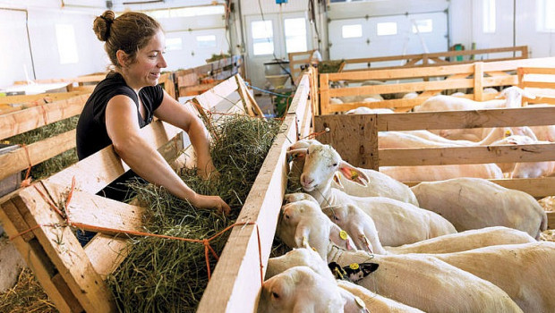 Les femmes qui nourrissent le Québec : Marie-Chantal Houde, fromagère