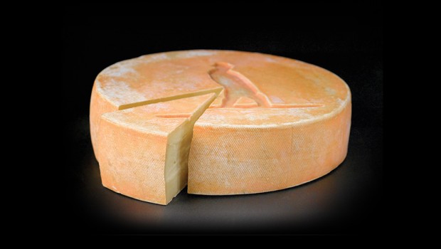 Raclette de Compton (plain) - Fromagerie La Station de Compton