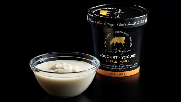Yogourt érable - Ferme Phylum