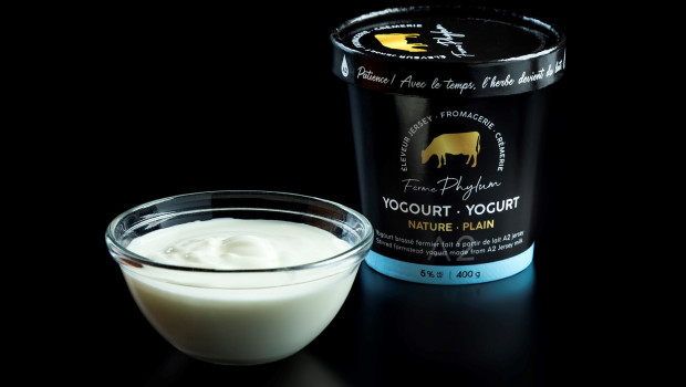 Yogourt nature - Ferme Phylum