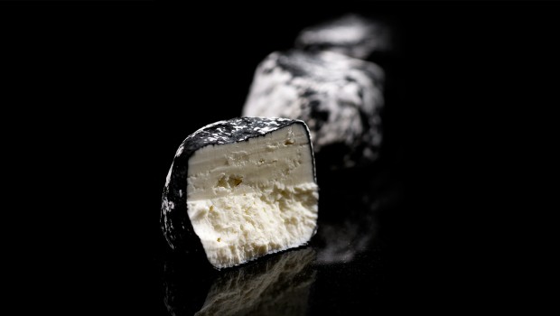 Petit Cendré - Fromagerie du Vieux Saint-François