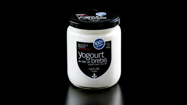 Yogourt de brebis (nature) - Fromagerie Nouvelle France